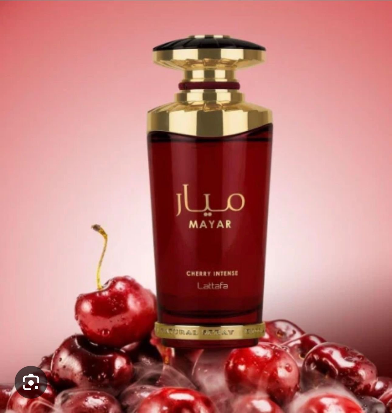 WhatsApp Image 2026-01-13 at 10.21.44 (5)